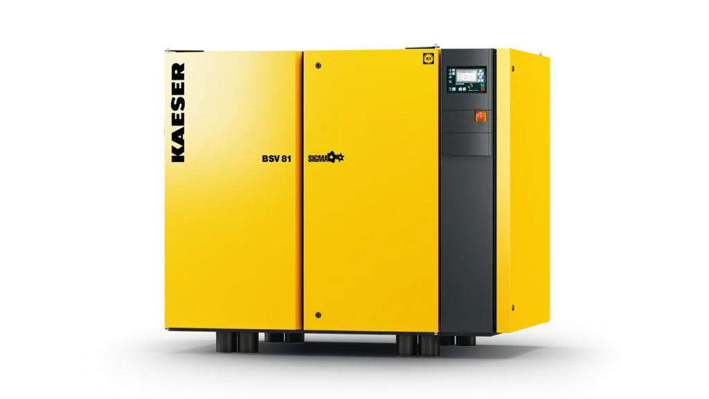 Rotary Screw Vacuum Pumps