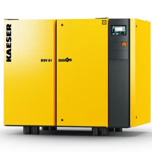 Rotary Screw Vacuum Pumps