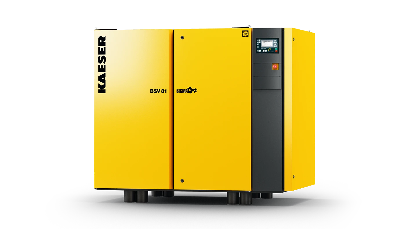 Rotary Screw Vacuum Pumps